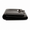 Celine 107603L